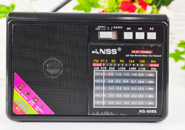 📻 Radio Portátil Ridgeway SPE-RA1076B – AM/FM/SW con Bluetooth, Linterna LED y panel solar
