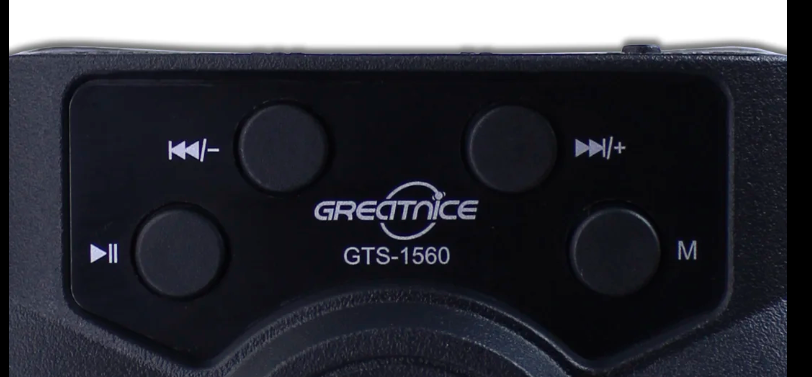 🔊 Bocina Portátil GTS-1560 (2 × 3") – Bluetooth, Luces LED y Radio FM