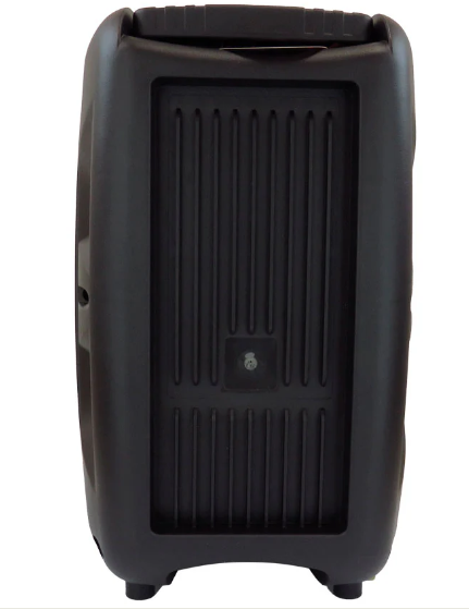 🔊 Bocina Portátil Link Bits RFR070 / SA8058T – 8" con Bluetooth, Micrófono y Luces LED