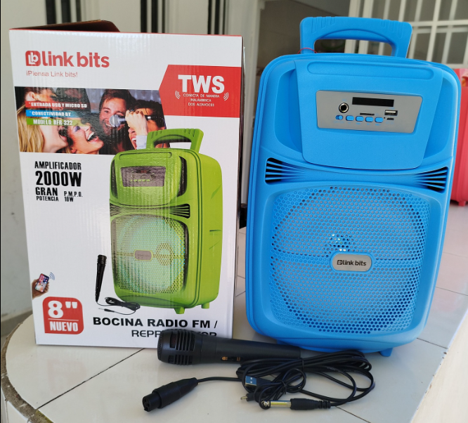🔊 Bocina Bluetooth Link Bits SA8066T – 8" con Micrófono y Luces LED
