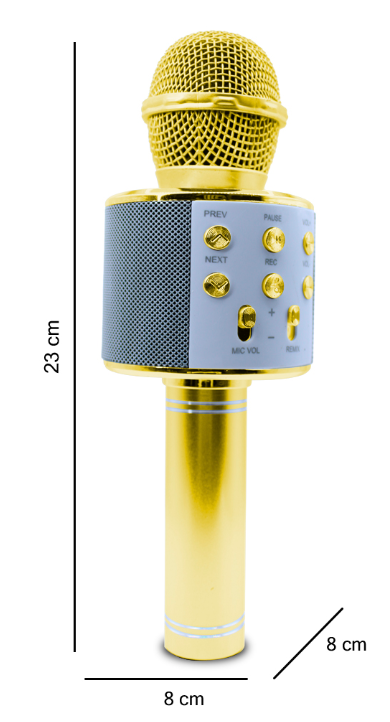 🎤 Micrófono Inalámbrico de Karaoke Bluetooth WS-858 – Con Altavoz Integrado y Efectos de Voz