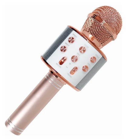 🎤 Micrófono Inalámbrico de Karaoke Bluetooth WS-858 – Con Altavoz Integrado y Efectos de Voz