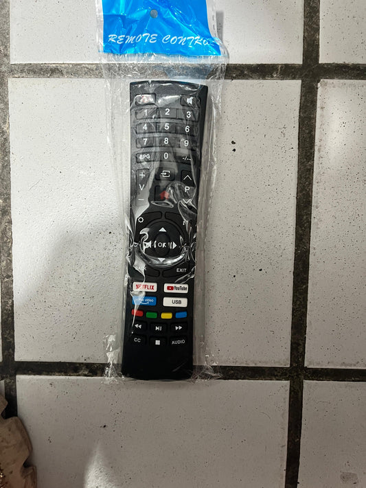 Control SANSUI sin marcar 4